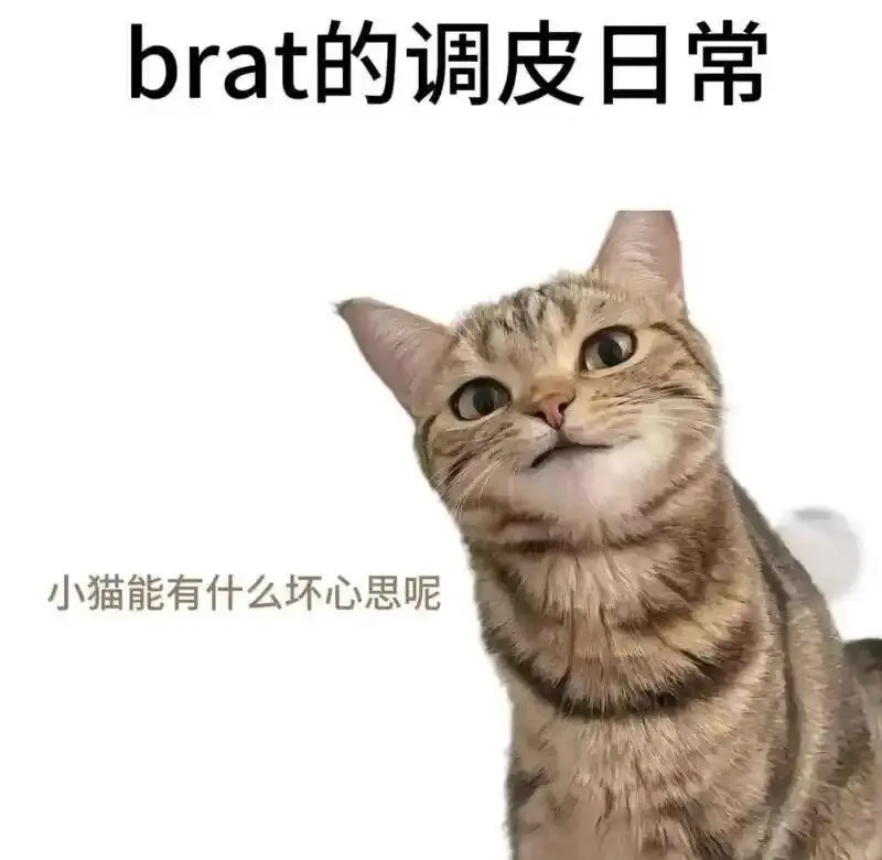 西檬之家s属性是什么意思?你是字母圈中的s吗? 一