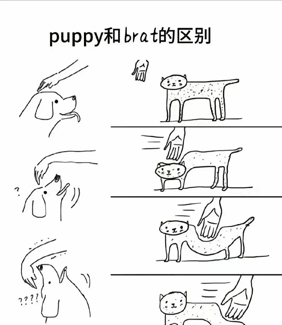 西檬之家k8猫系是什么?你的字母圈属性是什么 一