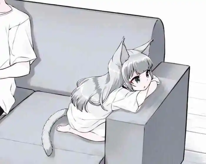 西檬之家Sp小圈入门必读 一