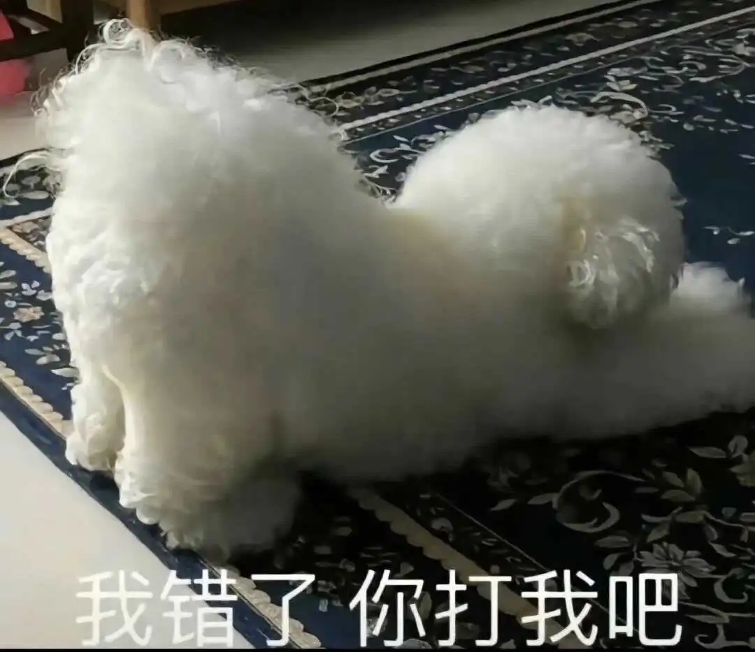 西檬之家什么是s倾向? 一