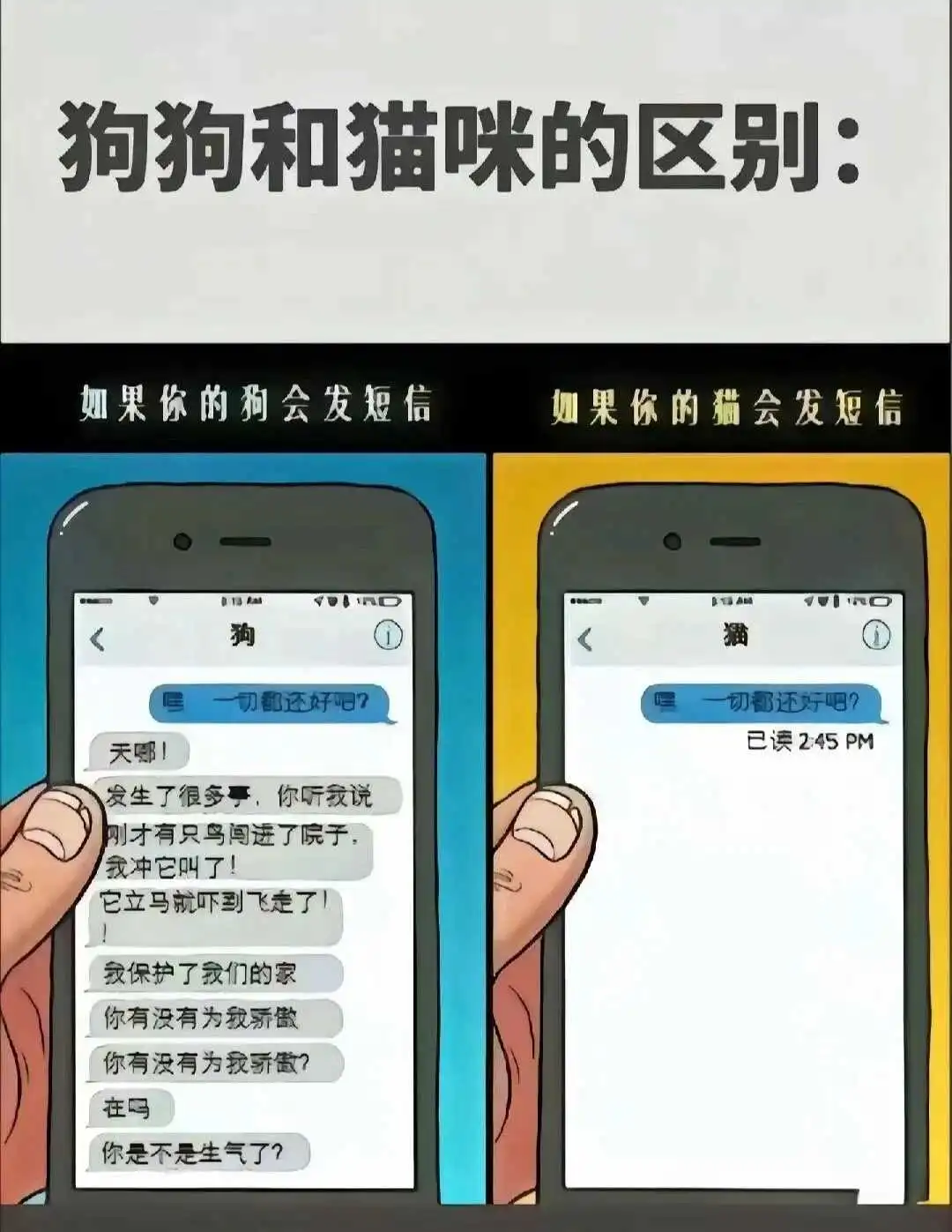西檬之家你是s倾向吗?字母圈新人入圈 一