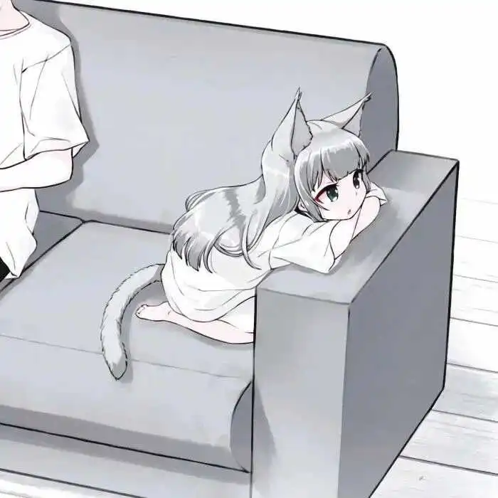 西檬之家k8猫系是什么?你的BDSM属性 一