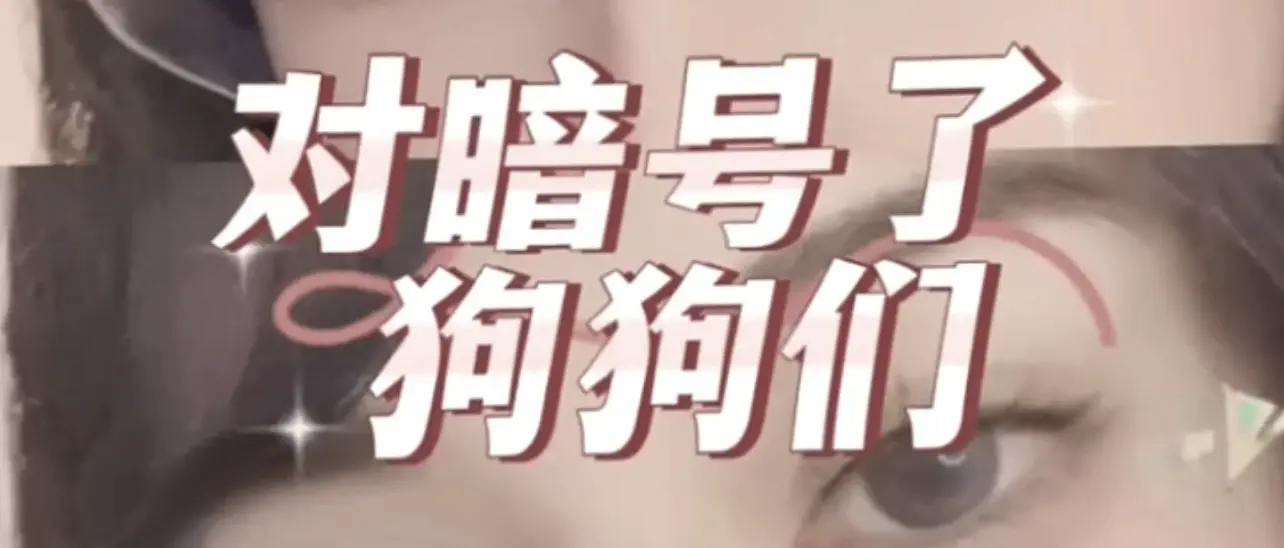 西檬之家字母圈Dom是什么意思?新人入圈必读 一