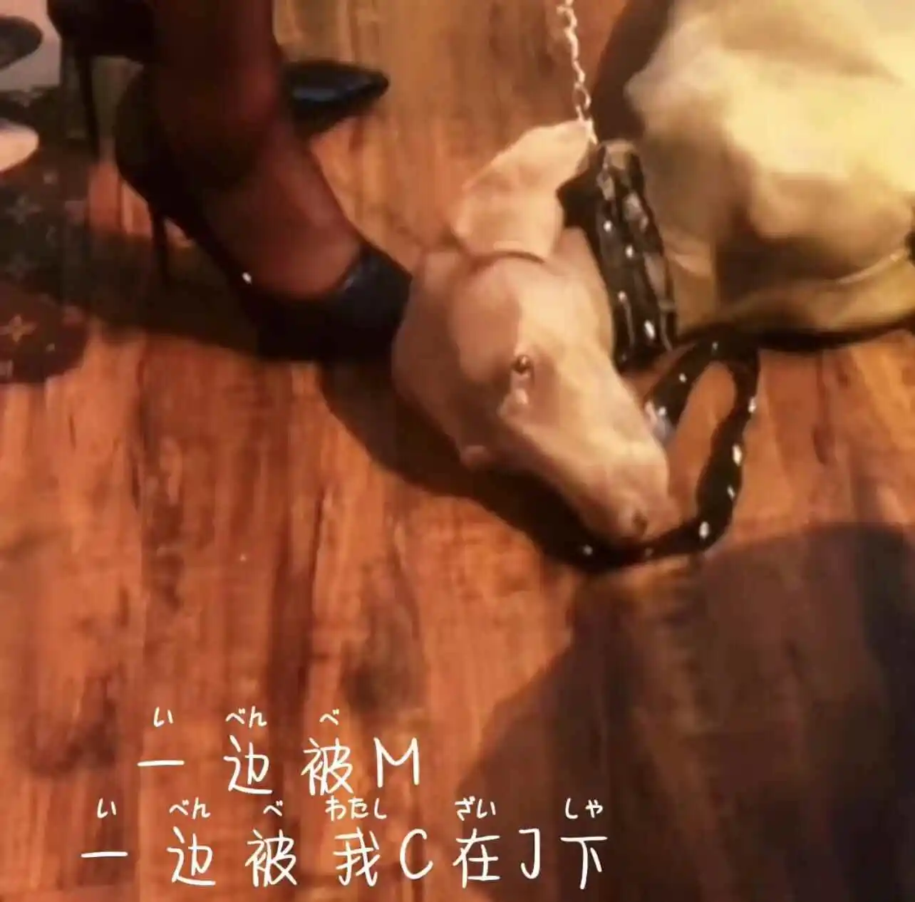 西檬之家ddlg是什么?你是哪类字母圈玩家? 一