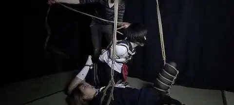 西檬之家字母圈SP是什么意思? 一