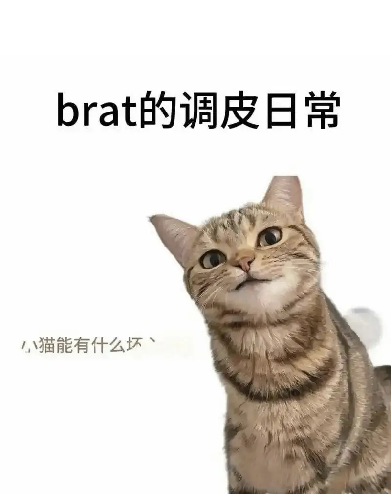 西檬之家s属性是什么意思?字母圈新人如何判断自身属性? 一