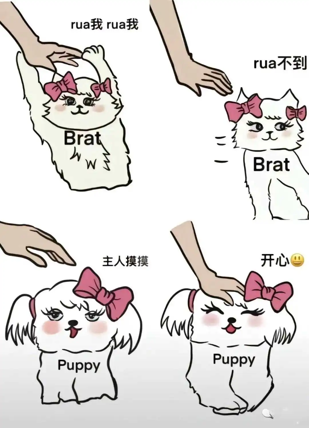 西檬之家字母圈k8是什么意思 一