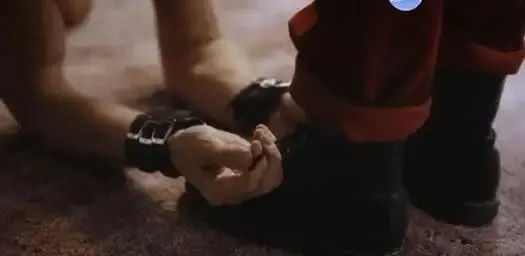 西檬之家sp小圈是什么?你的属性在哪? 一