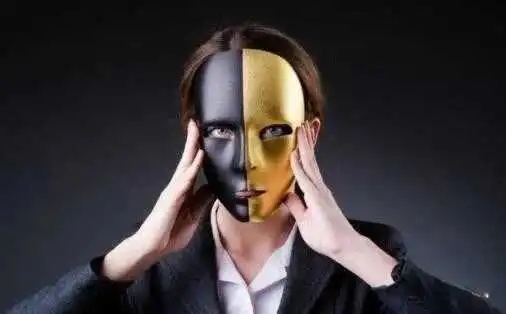 西檬之家k8是什么?字母圈新人必知猫系属性 一